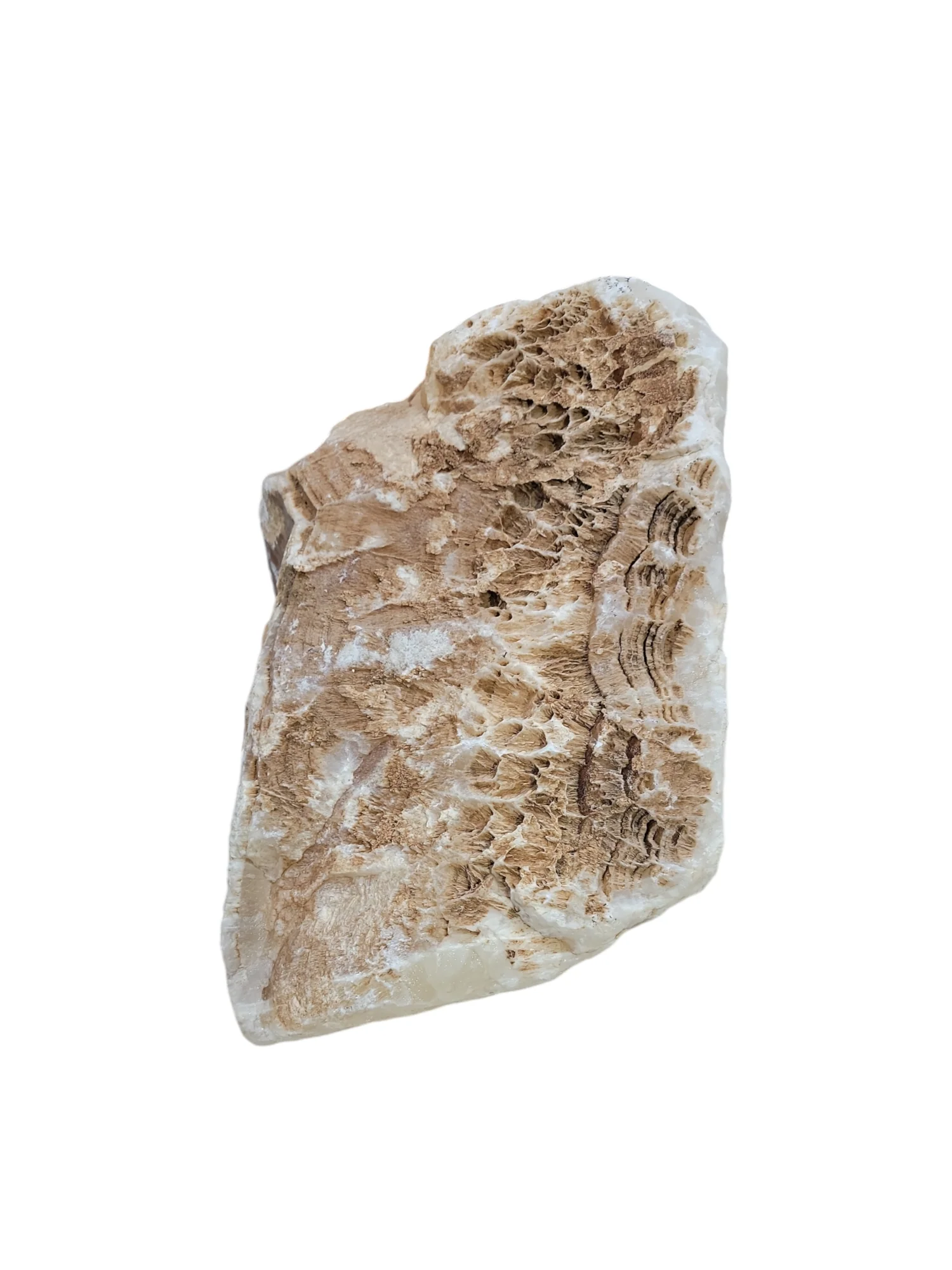 64lb Honeycomb Calcite 16x11x10 1035 - Image 3