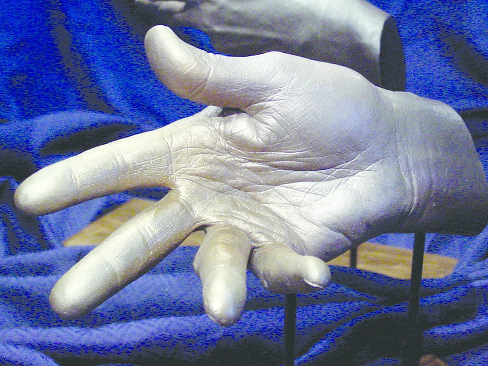 Adult Hand Casting Kit Alginate - Image 3