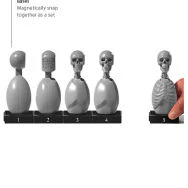 Anatomy Tools Skeleton Torso 5pc Set