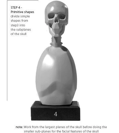 Anatomy Tools Skeleton Torso 5pc Set - Image 6