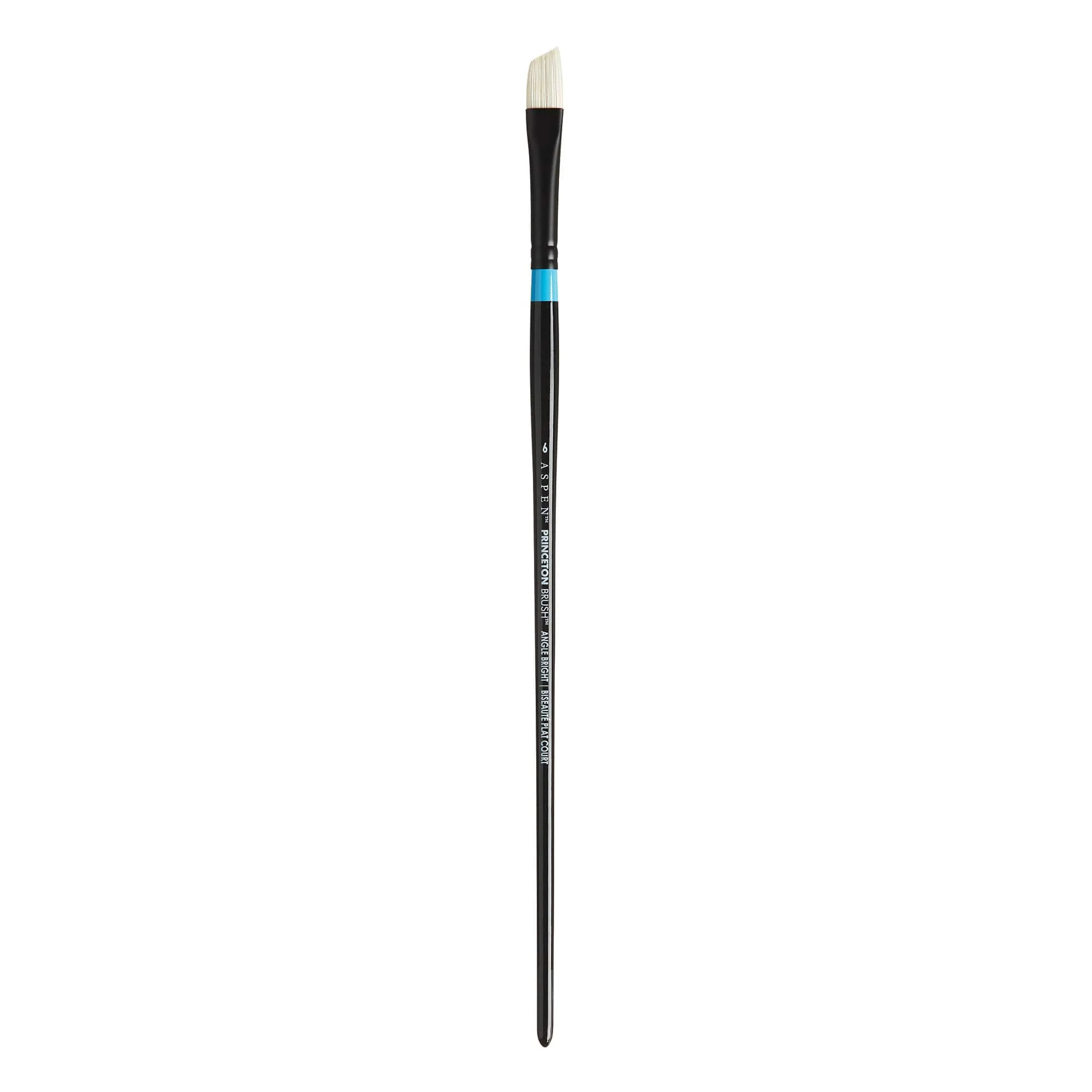 Aspen™ Series 6500 Brushes