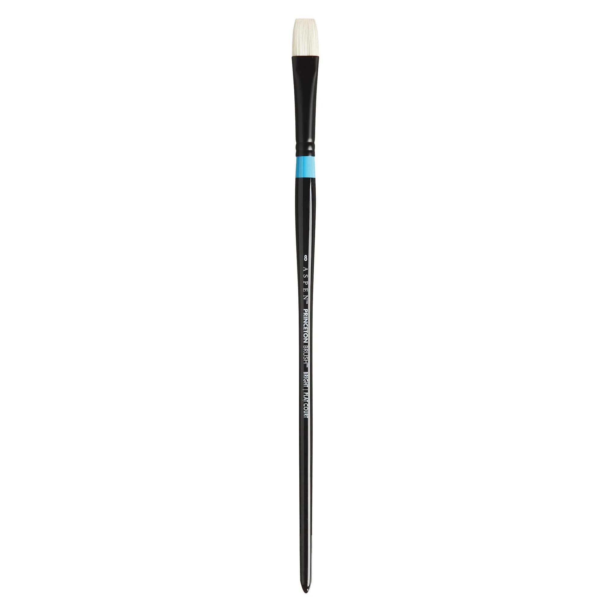 Aspen™ Series 6500 Brushes - Image 6