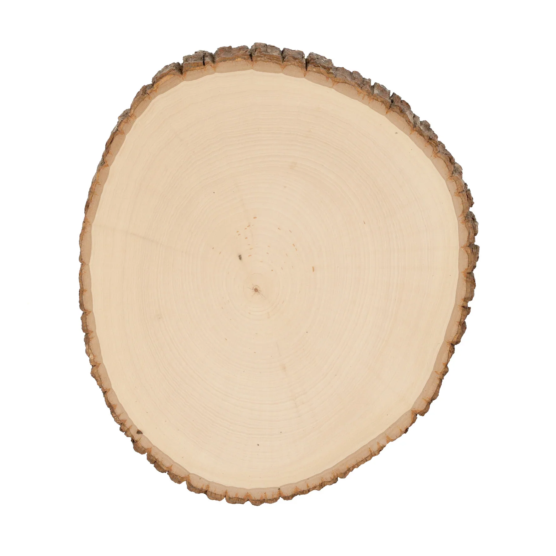 Basswood Rounds - Image 3
