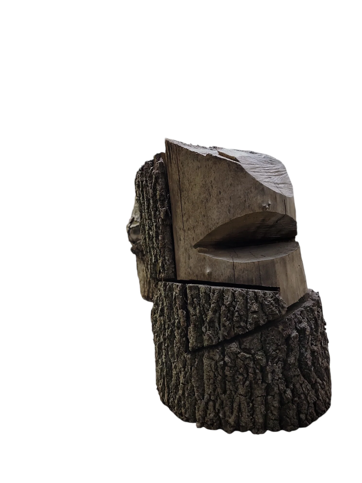 Black Walnut Log Full Bark 12Dx19H 40lbs - Image 2
