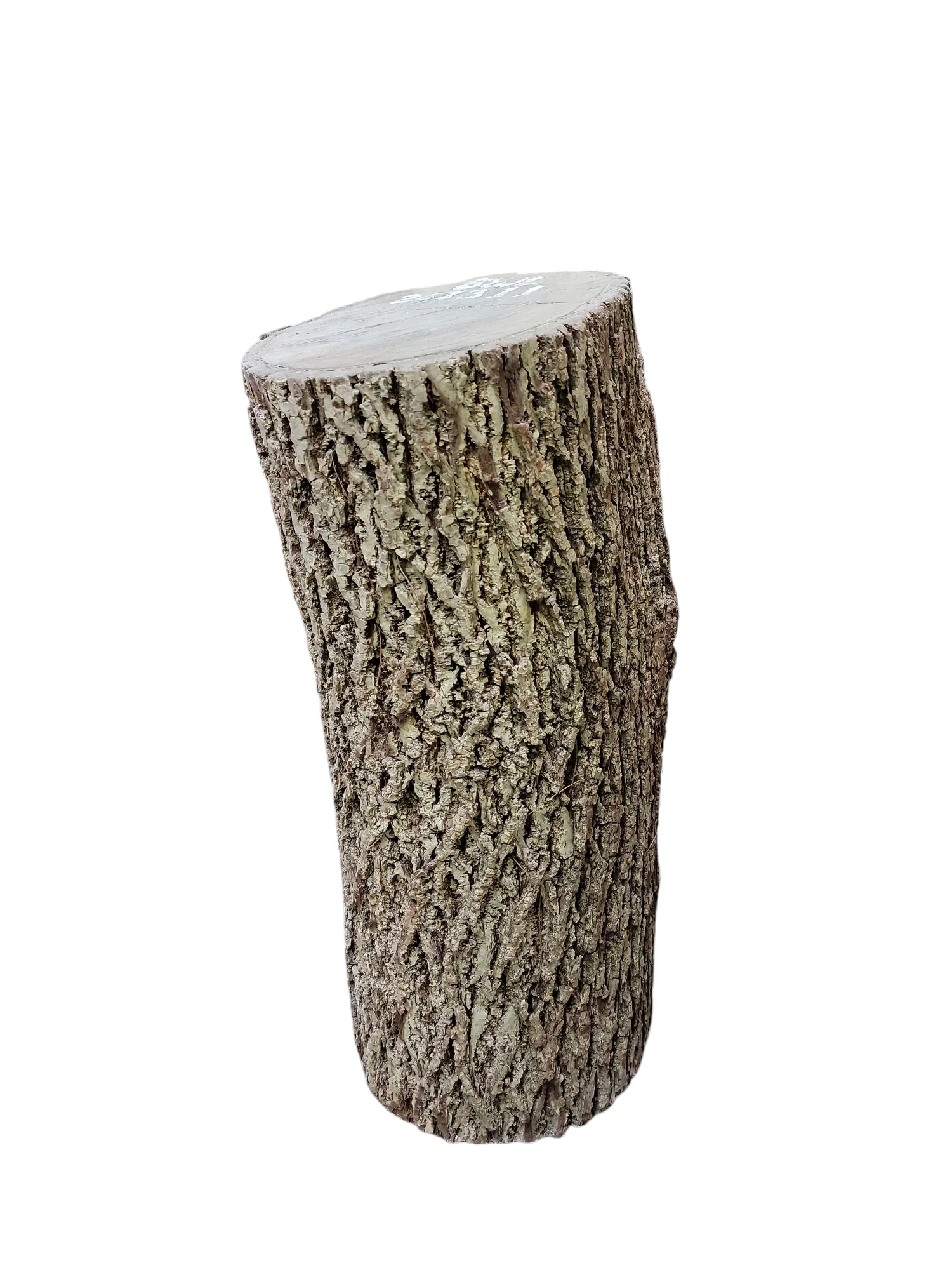 Black Walnut Log Full Bark 12Dx24H 39lbs - Image 2