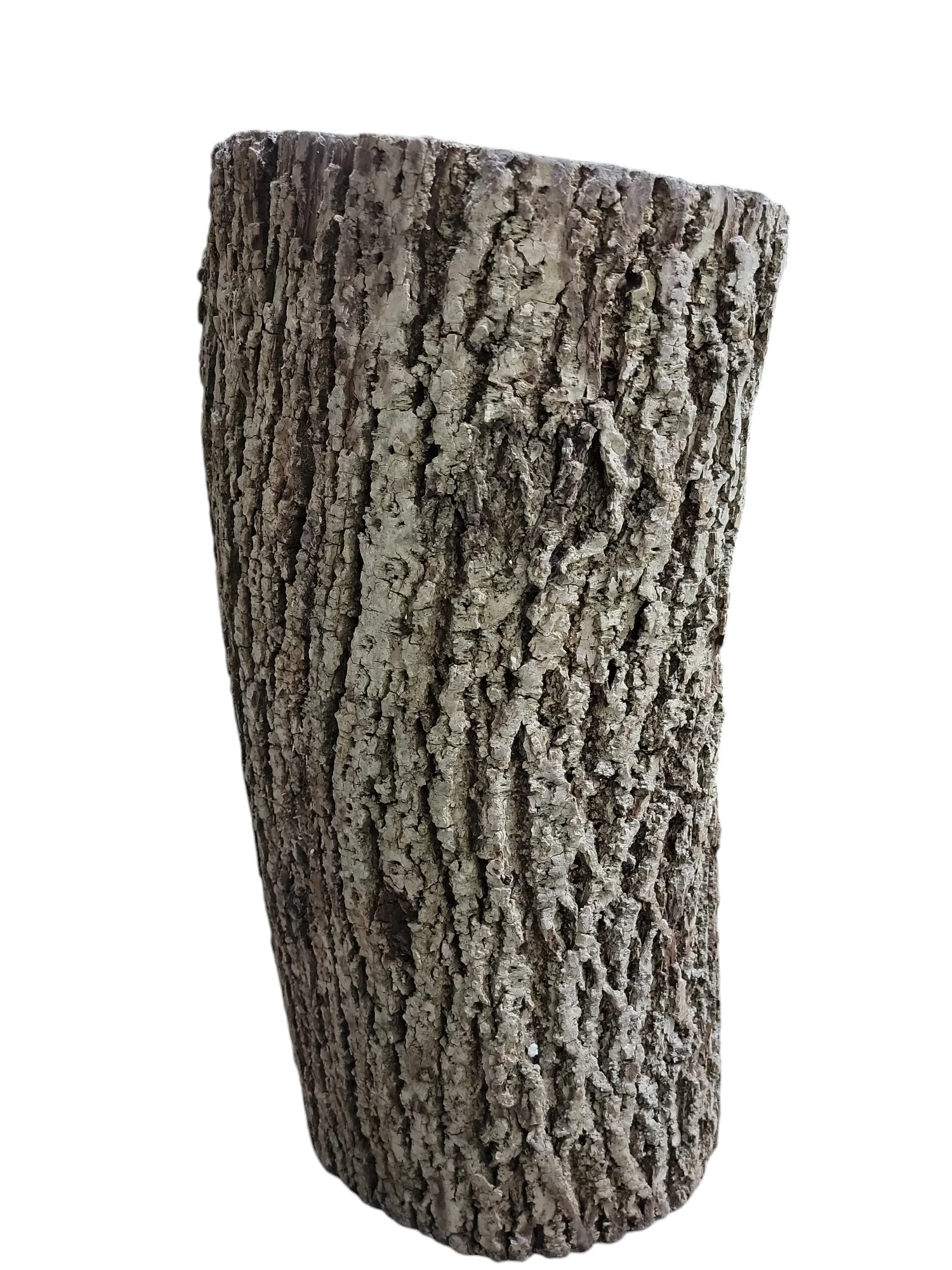 Black Walnut Log Full Bark 12Dx24H 39lbs - Image 3