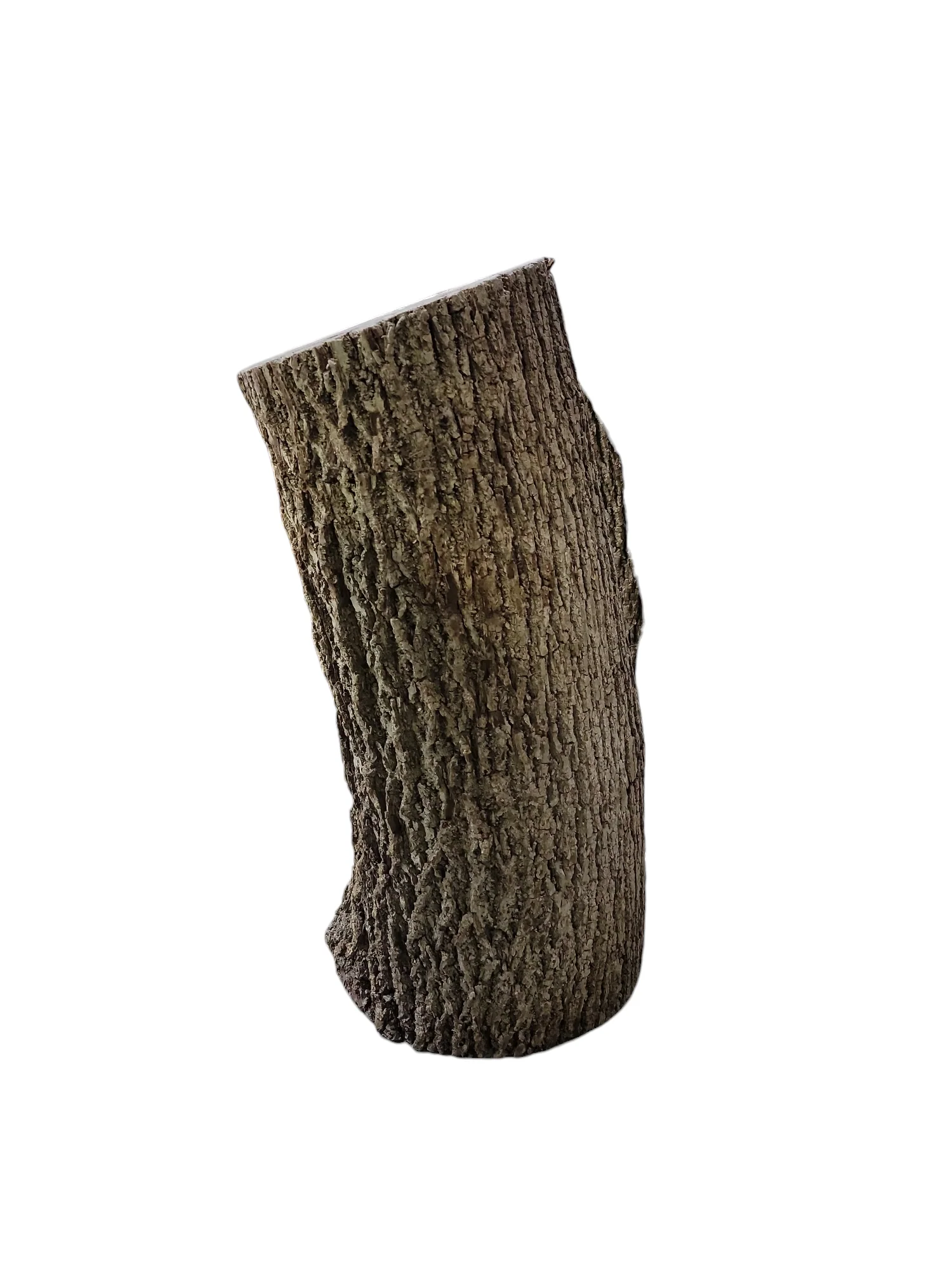 Black Walnut Log Full Bark 12Dx26H 53lbs - Image 3