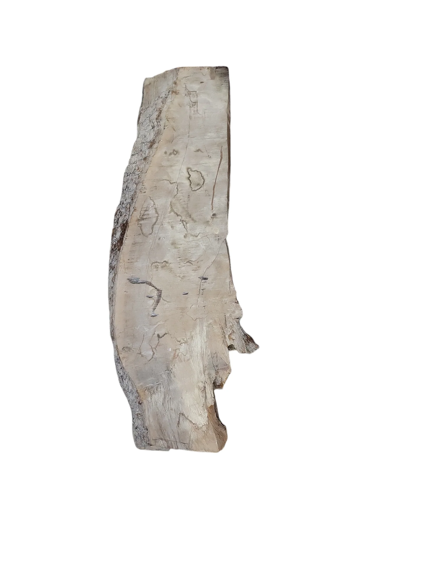 Black Walnut Slab Live Edge 55x17x4 50lbs - Image 2