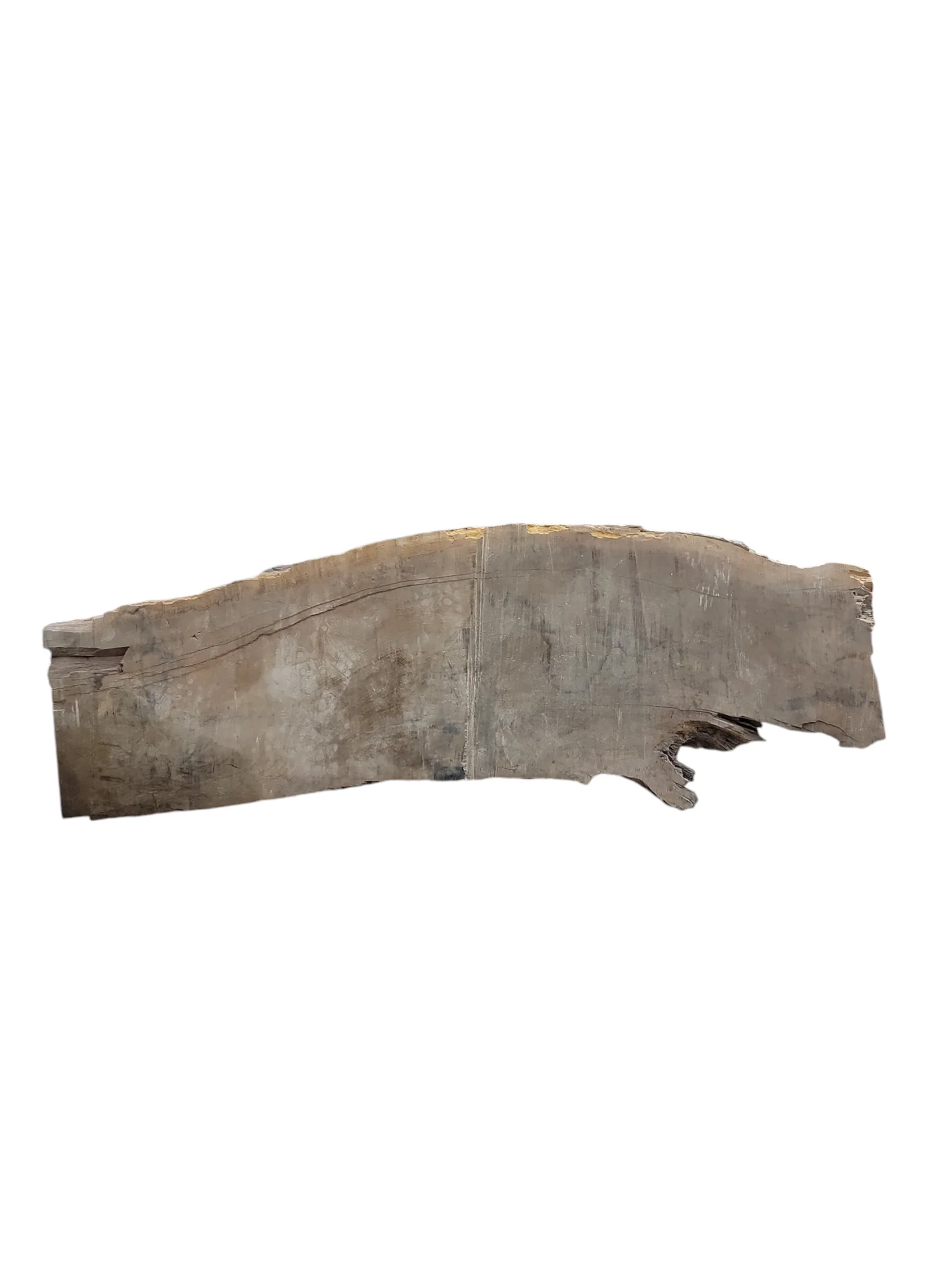 Black Walnut Slab Live Edge 55x17x4 50lbs - Image 3