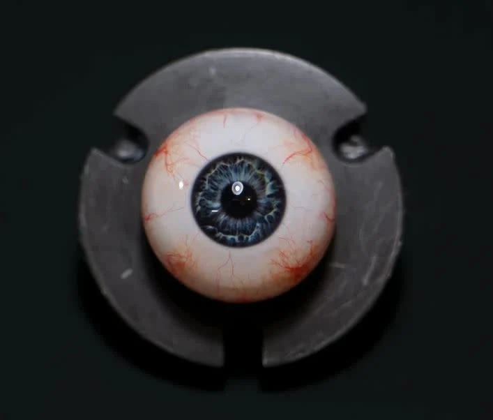 Camera Ready Royal Eye Set 26mm