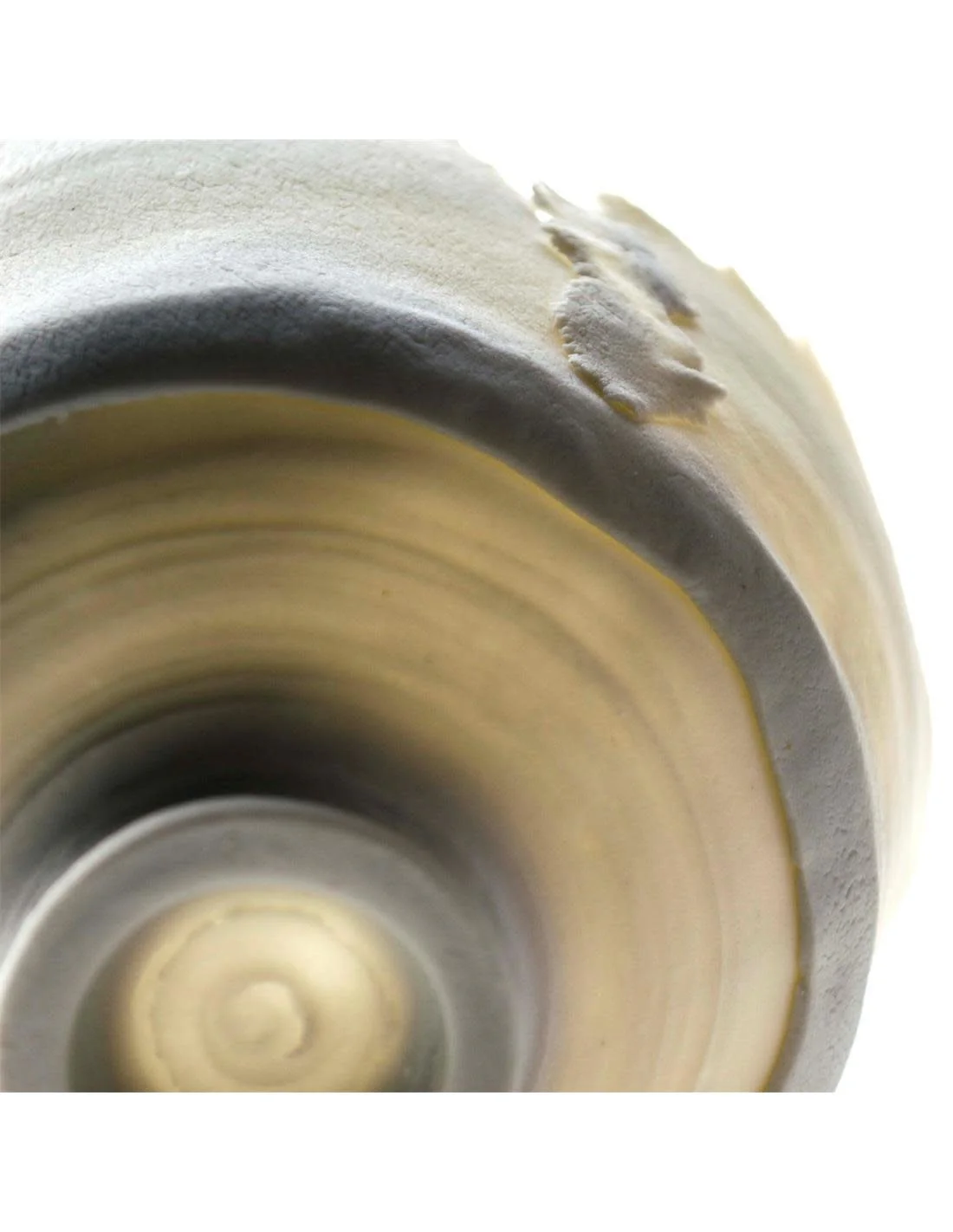 CELLULAIN porcelain paper clay 11lb (Cone 6-8) - Image 3