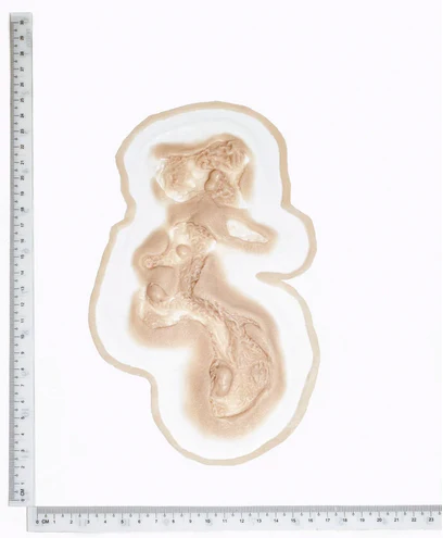 Laceration - GH18 Silicone Prosthetic - Image 2