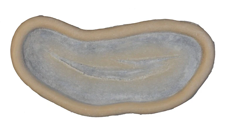 Cuts - C6/C14 Silicone Prosthetic - Image 3