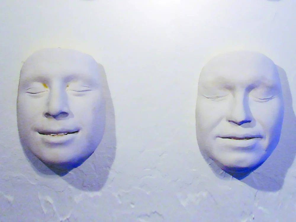 Face Casting Kit Alginate - Image 3