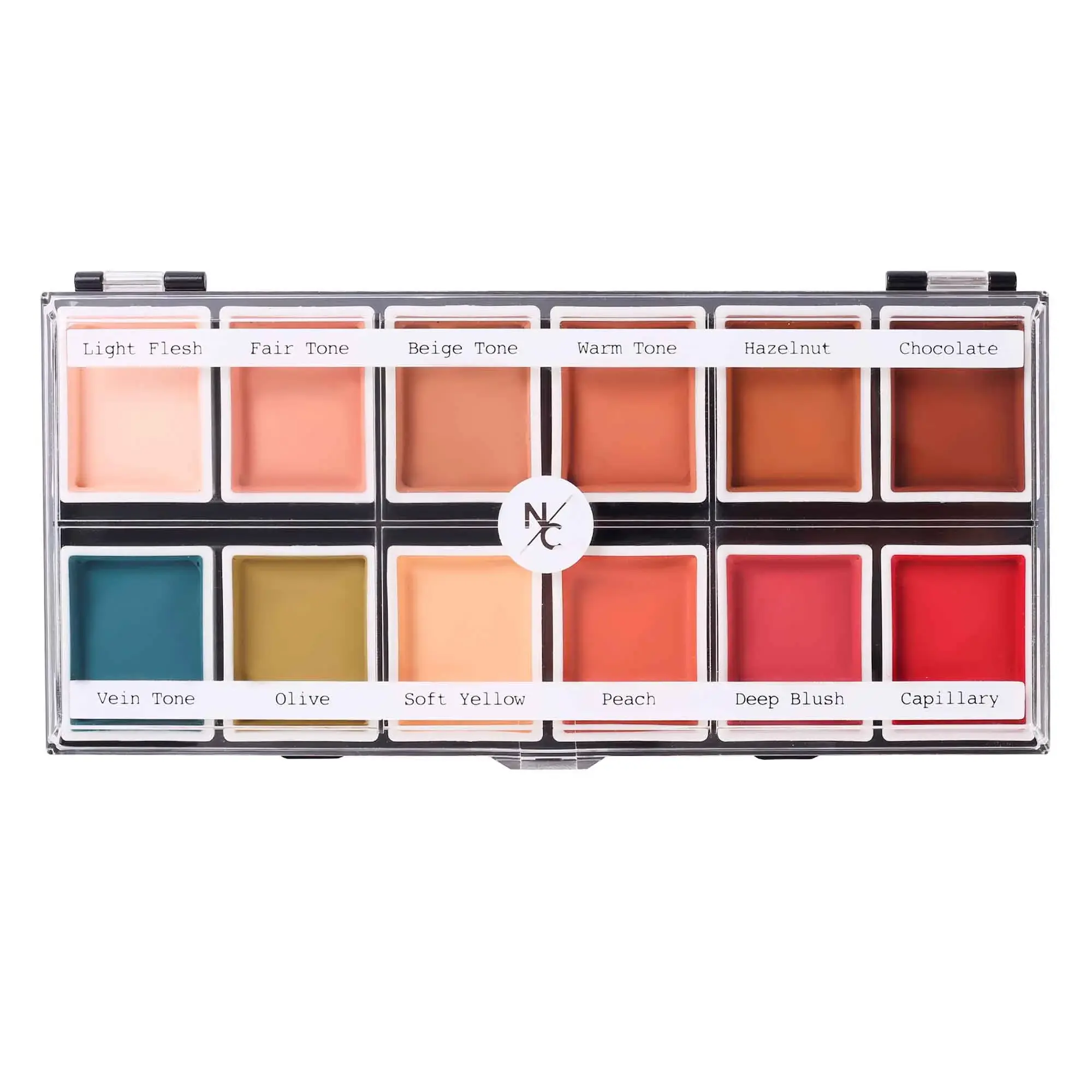 Flesh Tone Alcohol Activated Palette