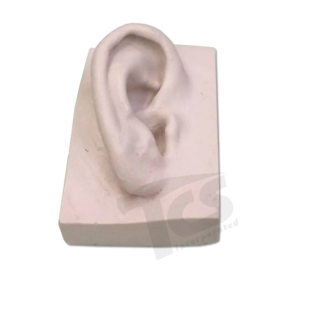 Resin Ear #1 (Young) - Image 6
