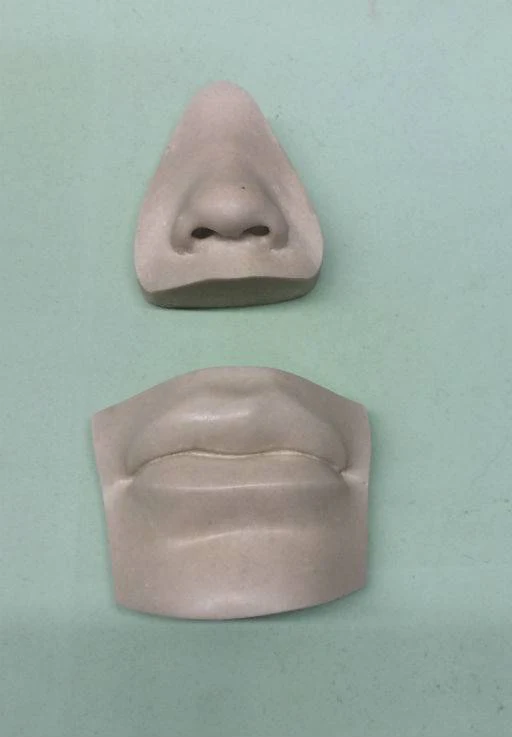 Resin Nose #1 (Small)