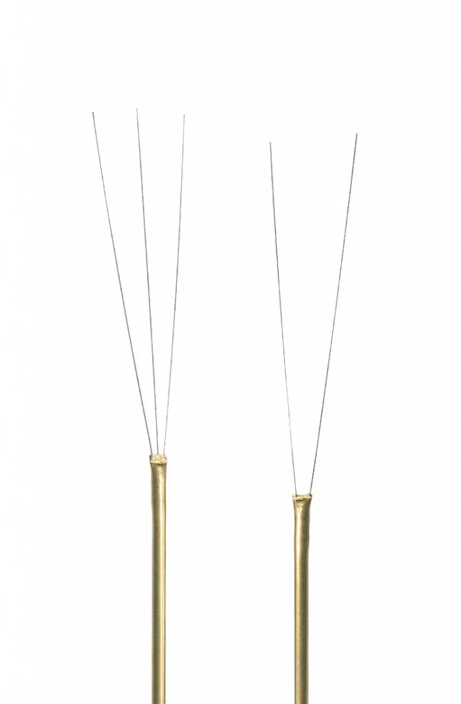 WT1: Wrinkle Tool #1