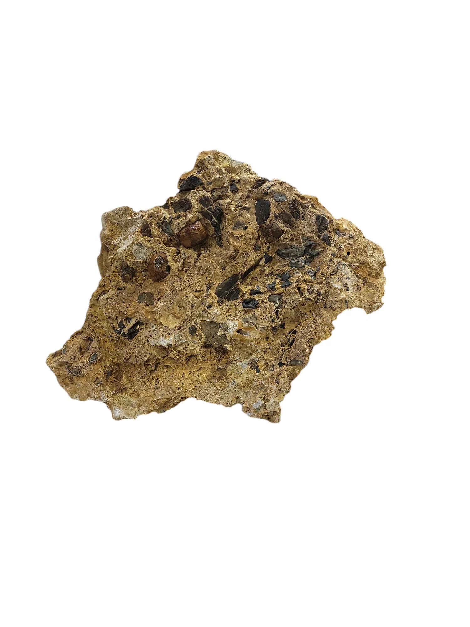 Mexican Onyx 62lb 25x18x6 1005 - Image 3