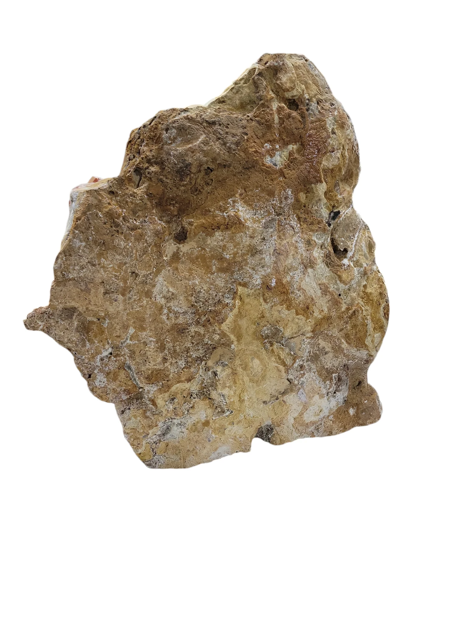 Mexican Onyx 80lb 23x18x4 1010 - Image 2