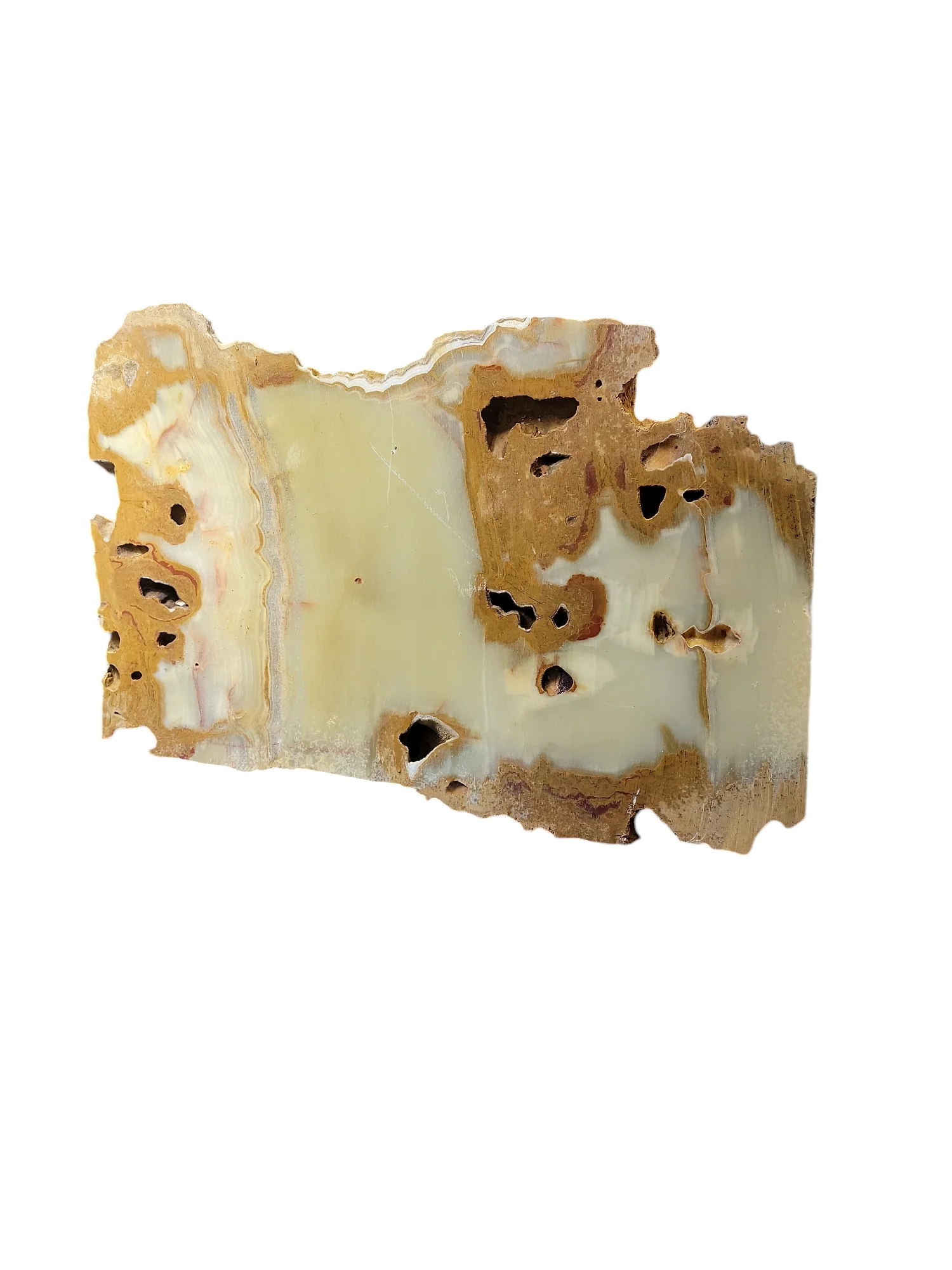 Mexican Onyx 98lb 24x15x6 1018 - Image 2