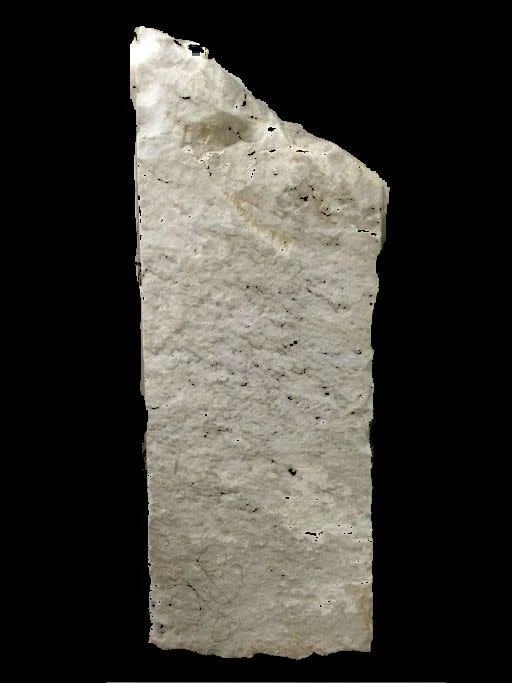 951lb Carrara bianco 50x18x17 #341003 - Image 3
