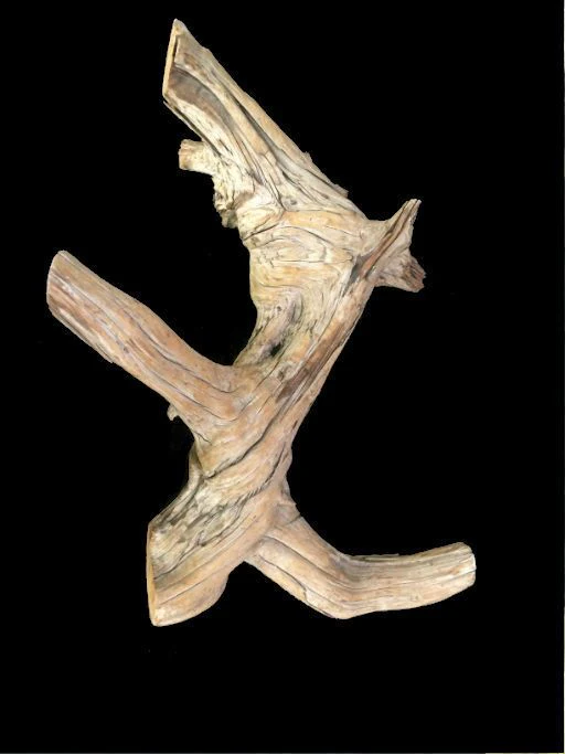 Driftwood 30X13X6 #091004 - Image 2