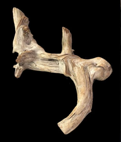 Driftwood 30X13X6 #091004 - Image 3