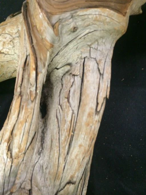 Driftwood 30X13X6 #091004 - Image 4