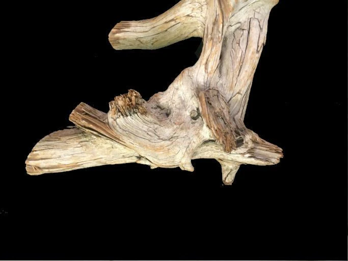 Driftwood 30X13X6 #091004 - Image 5