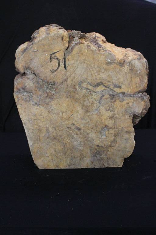 Spalted Maple Burl 18x20x7 #30016 - Image 3