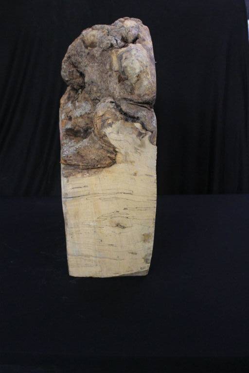 Spalted Maple Burl 18x20x7 #30016 - Image 4
