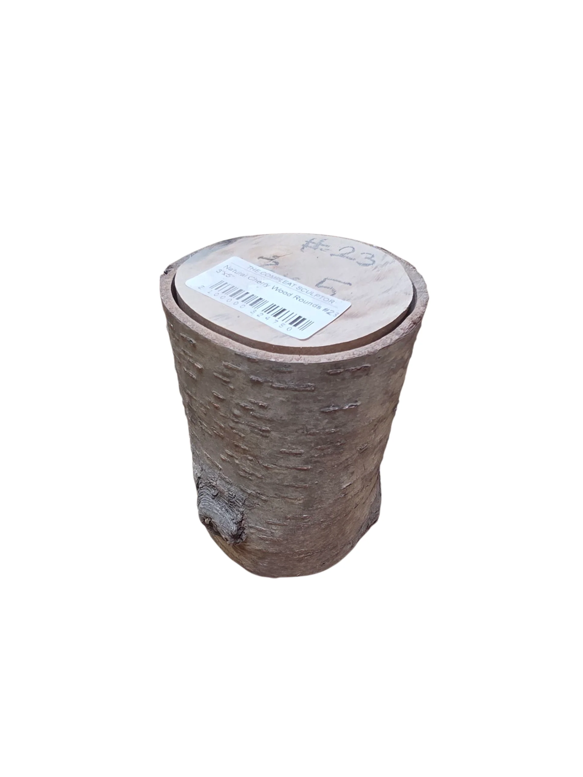 Natural Cherry Wood Rounds - Image 13