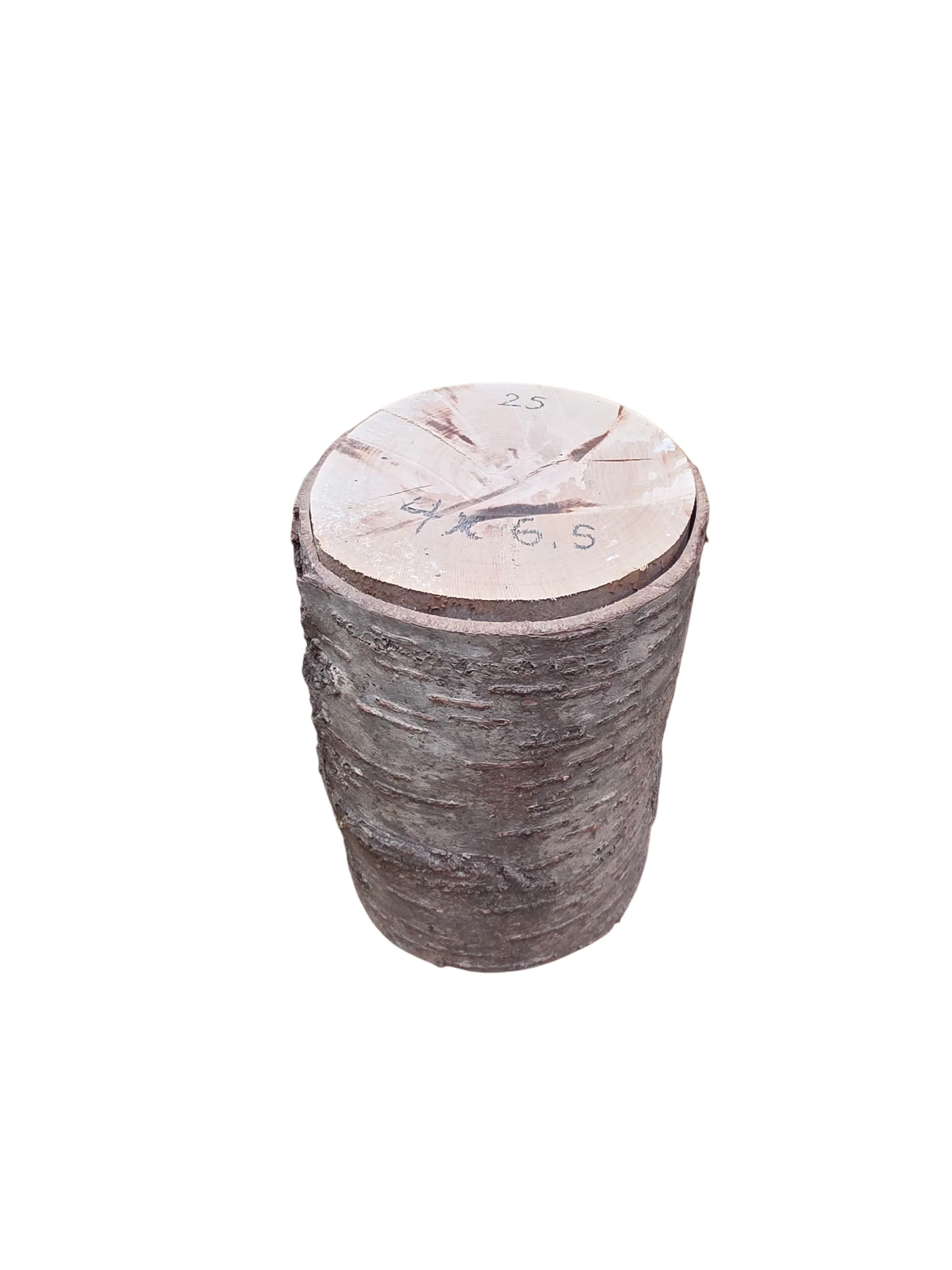 Natural Cherry Wood Rounds - Image 15