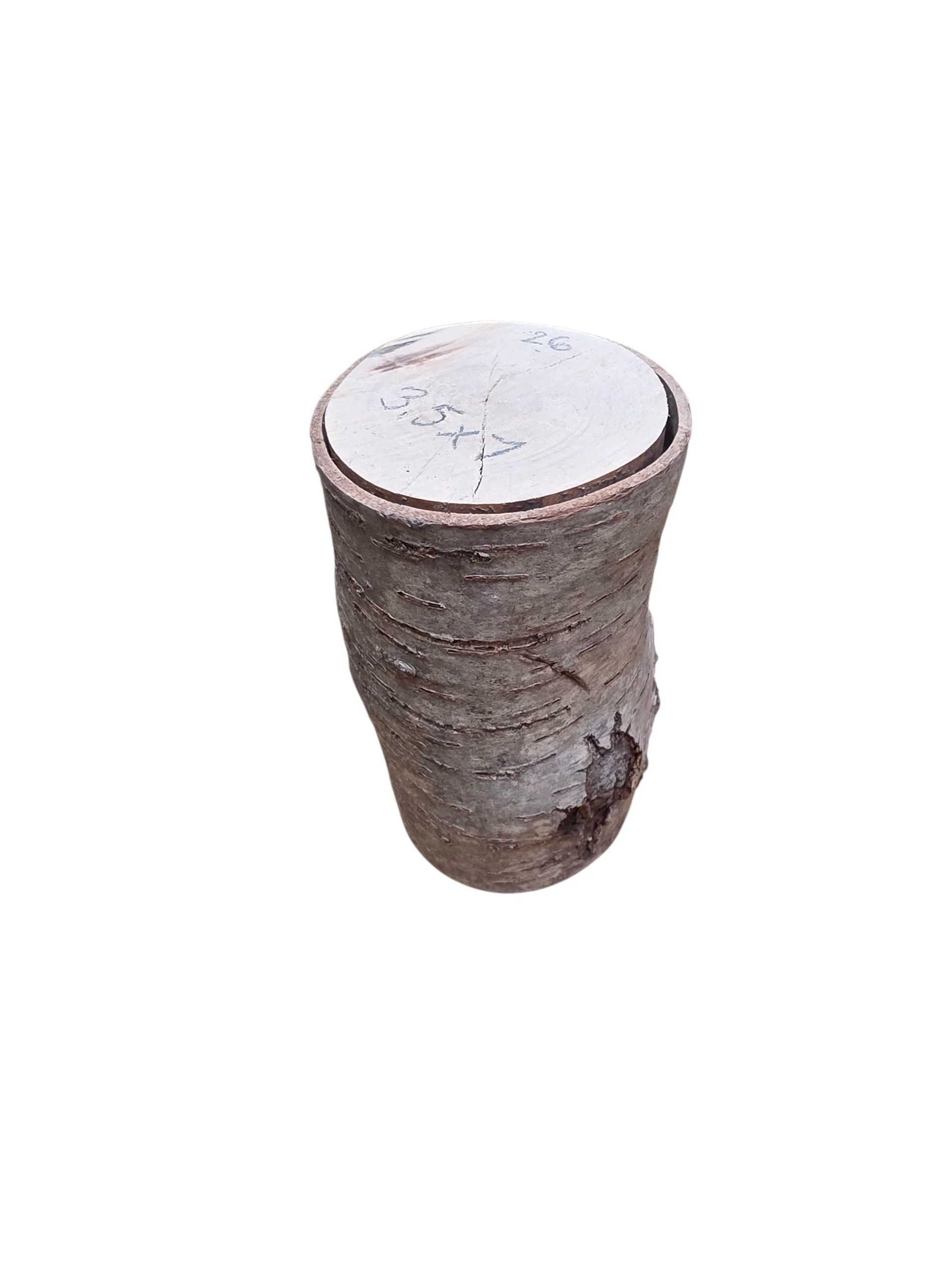 Natural Cherry Wood Rounds - Image 16