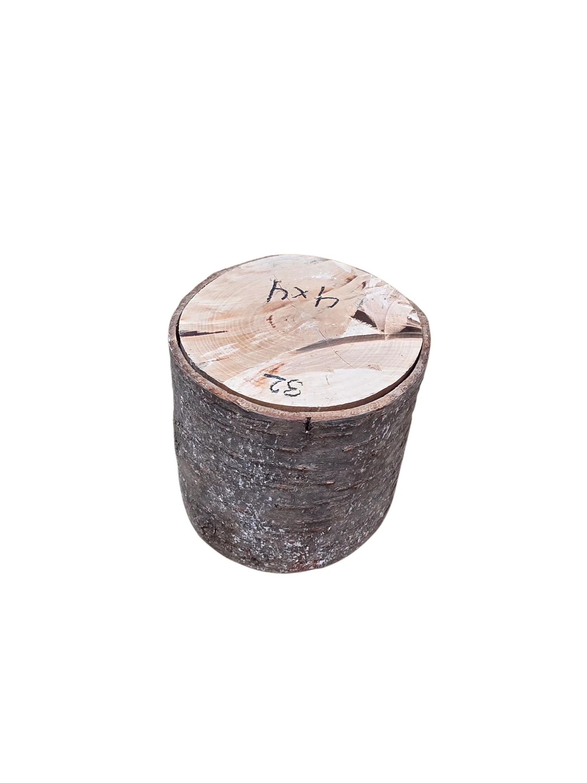 Natural Cherry Wood Rounds - Image 19