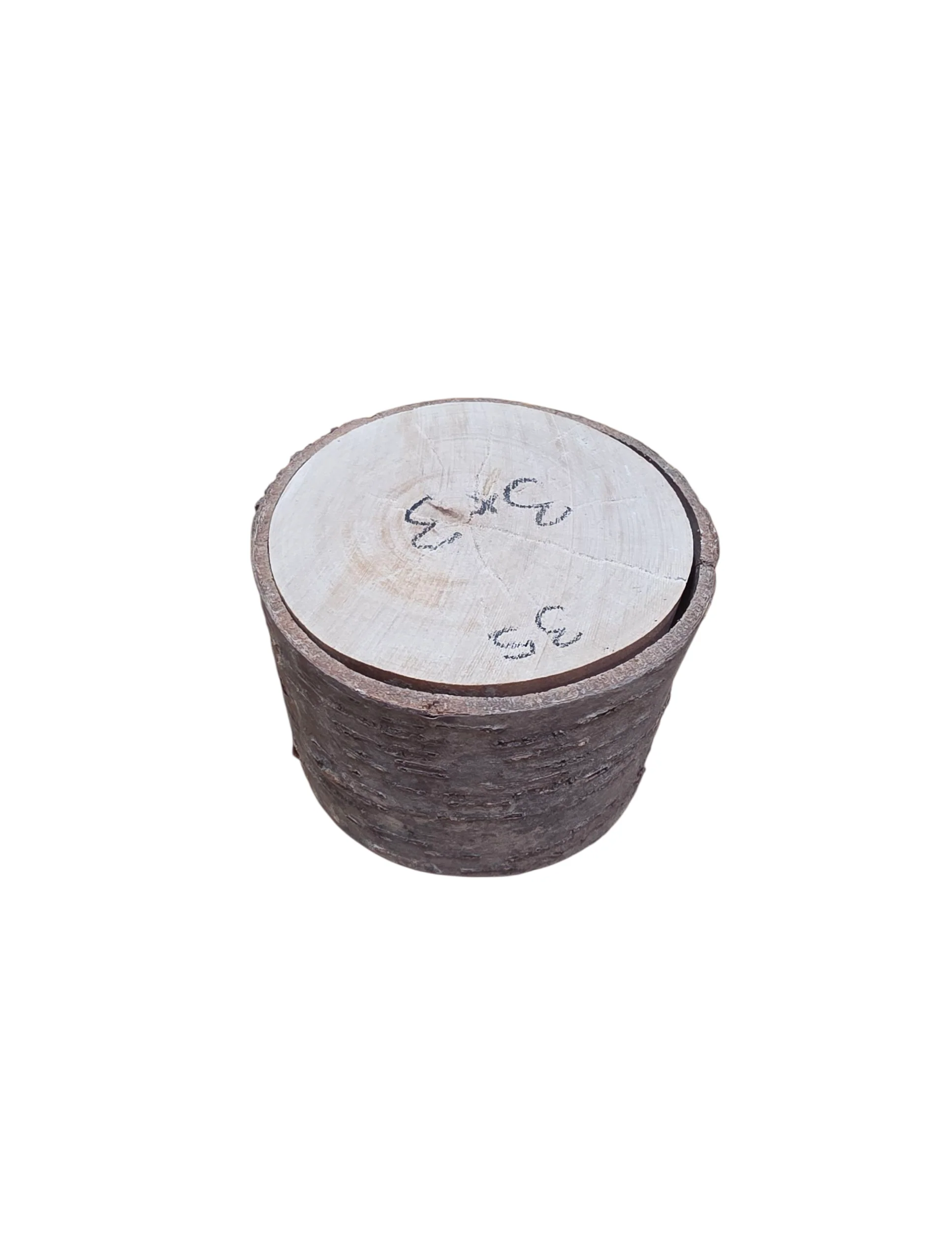 Natural Cherry Wood Rounds - Image 21
