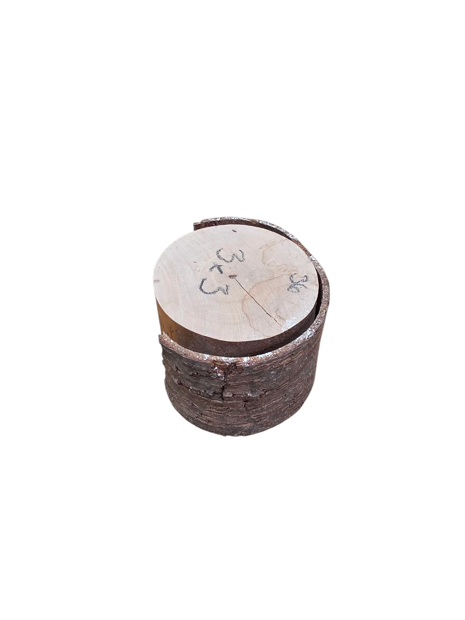 Natural Cherry Wood Rounds - Image 22
