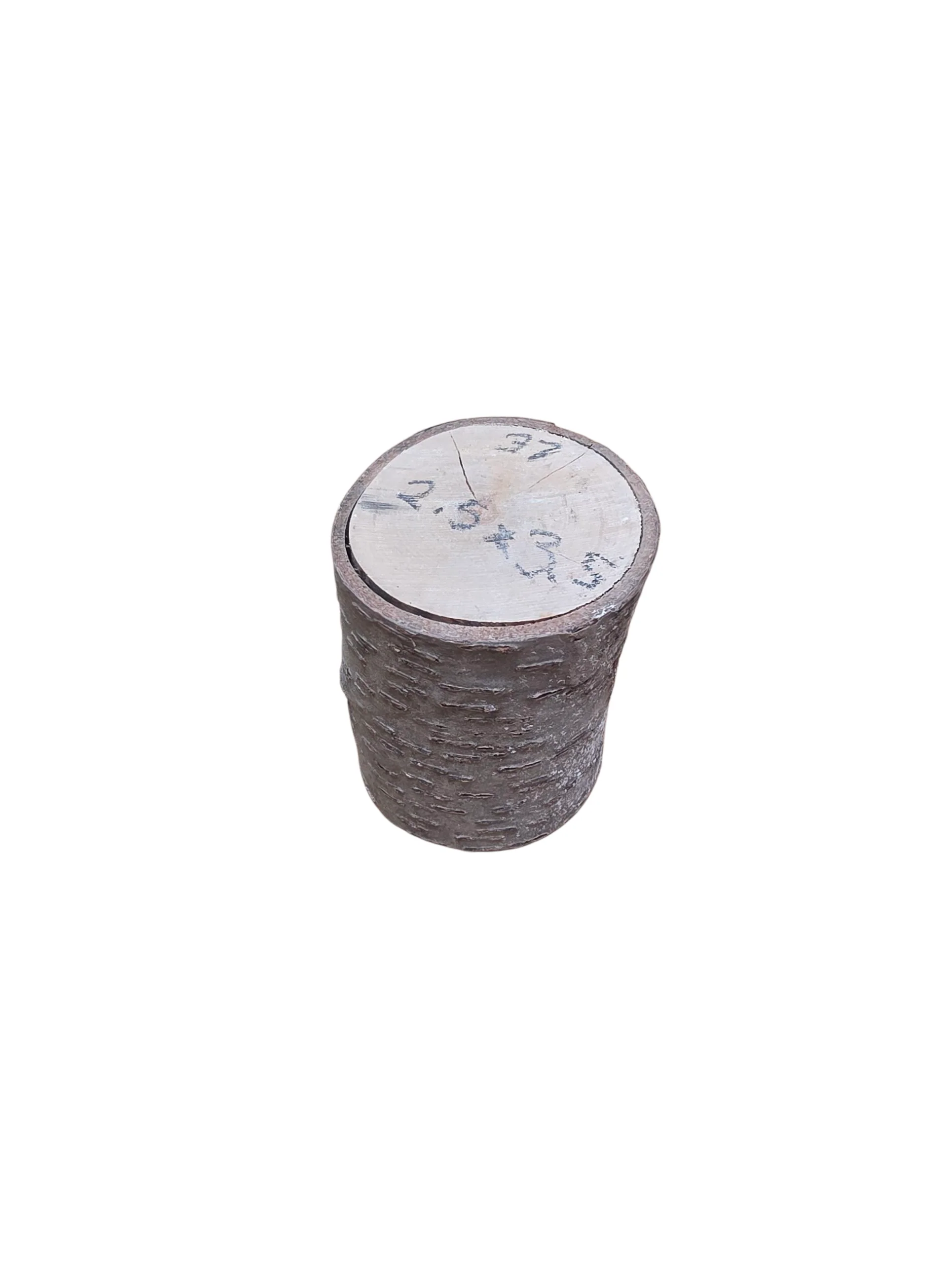 Natural Cherry Wood Rounds - Image 23
