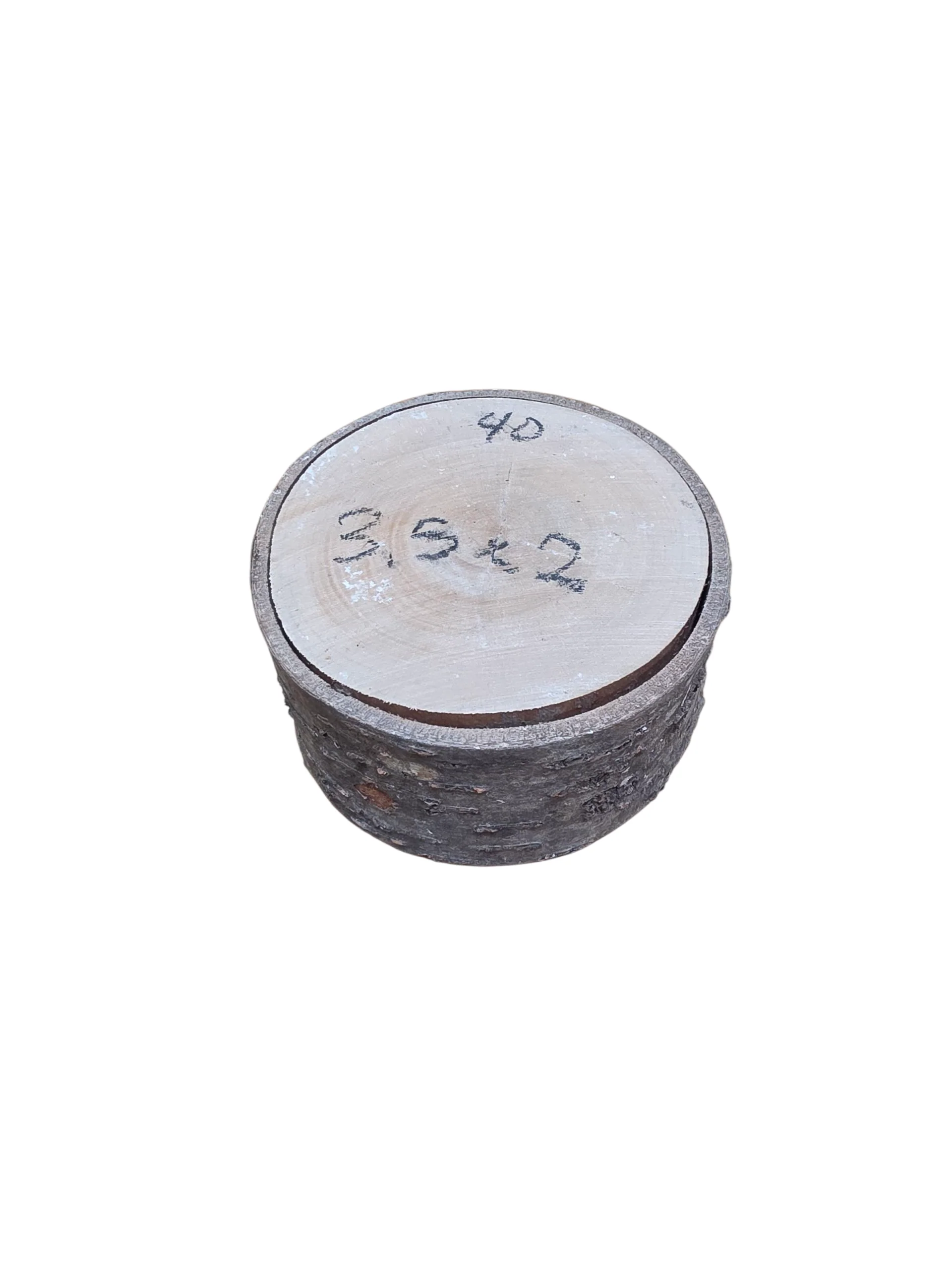 Natural Cherry Wood Rounds - Image 27
