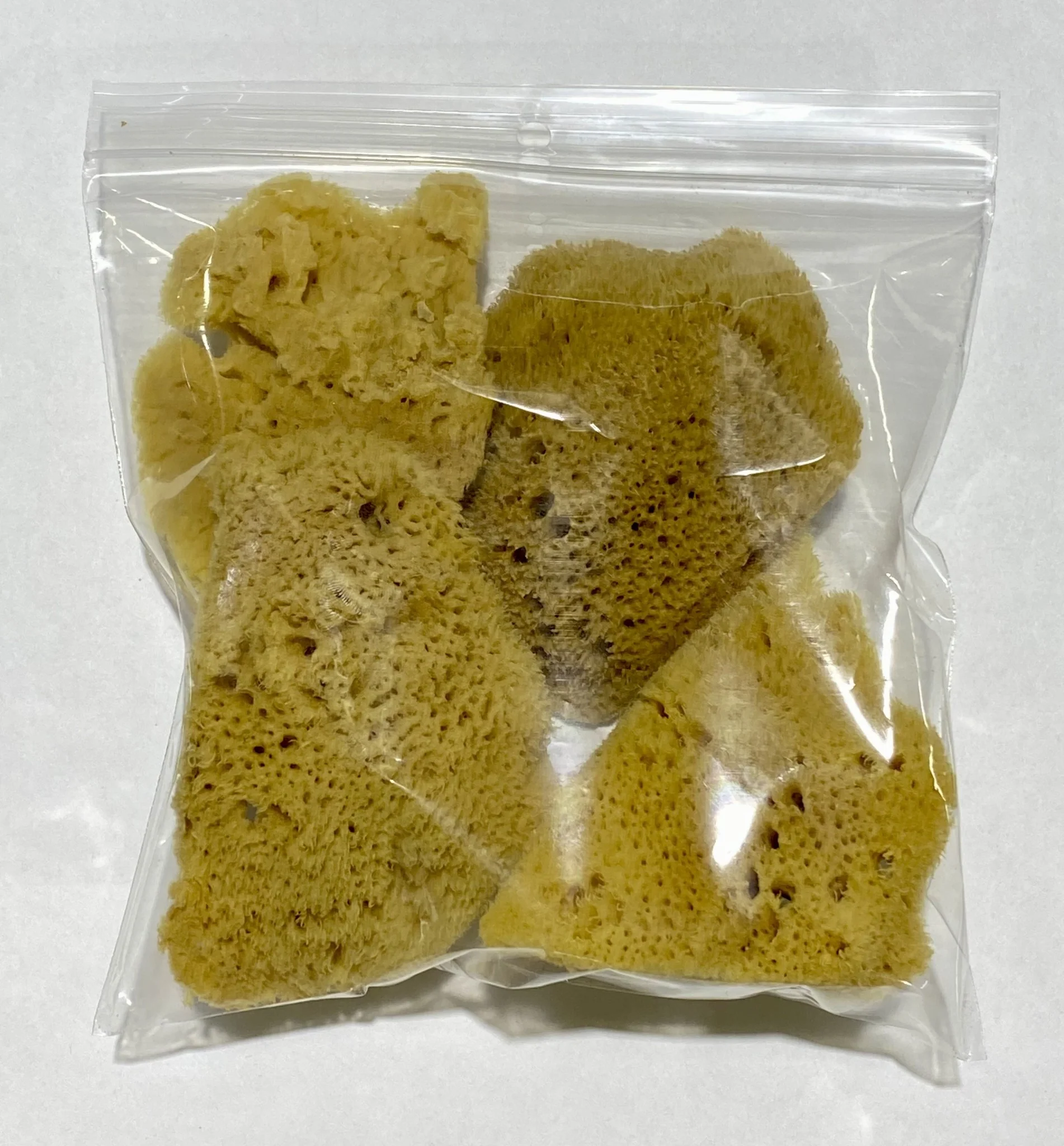 Natural Sea Sponges, Set of 4