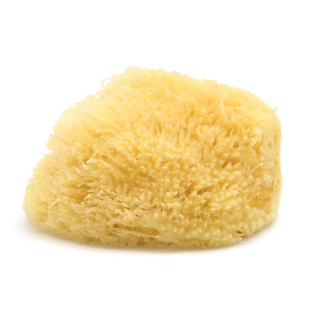 Neptune™ Caribbean Sea Sponges - Image 4