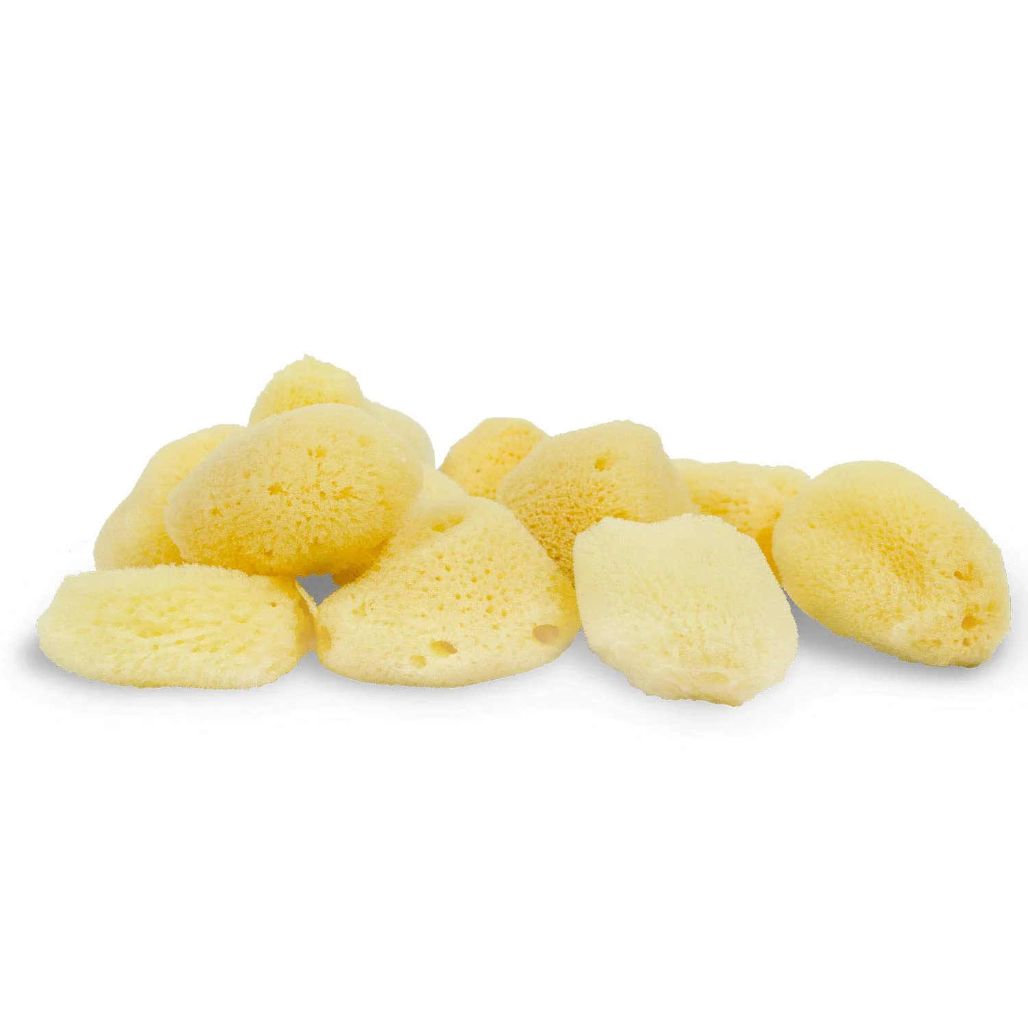Neptune™ Sea Silk Sponges