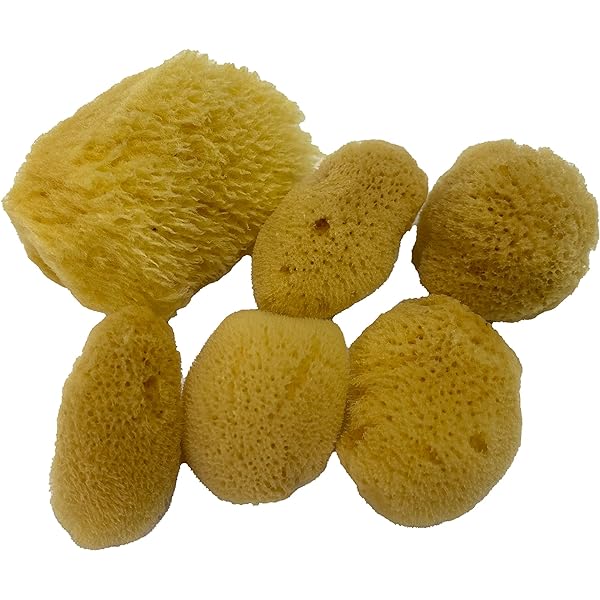 Neptune™ Sea Silk Sponges - Image 2