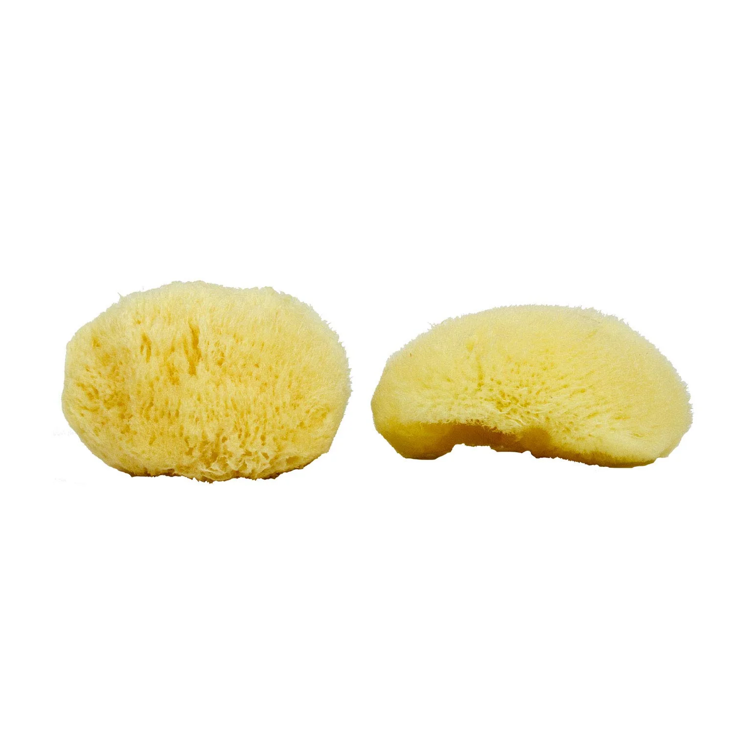 Neptune™ Sea Silk Sponges - Image 3