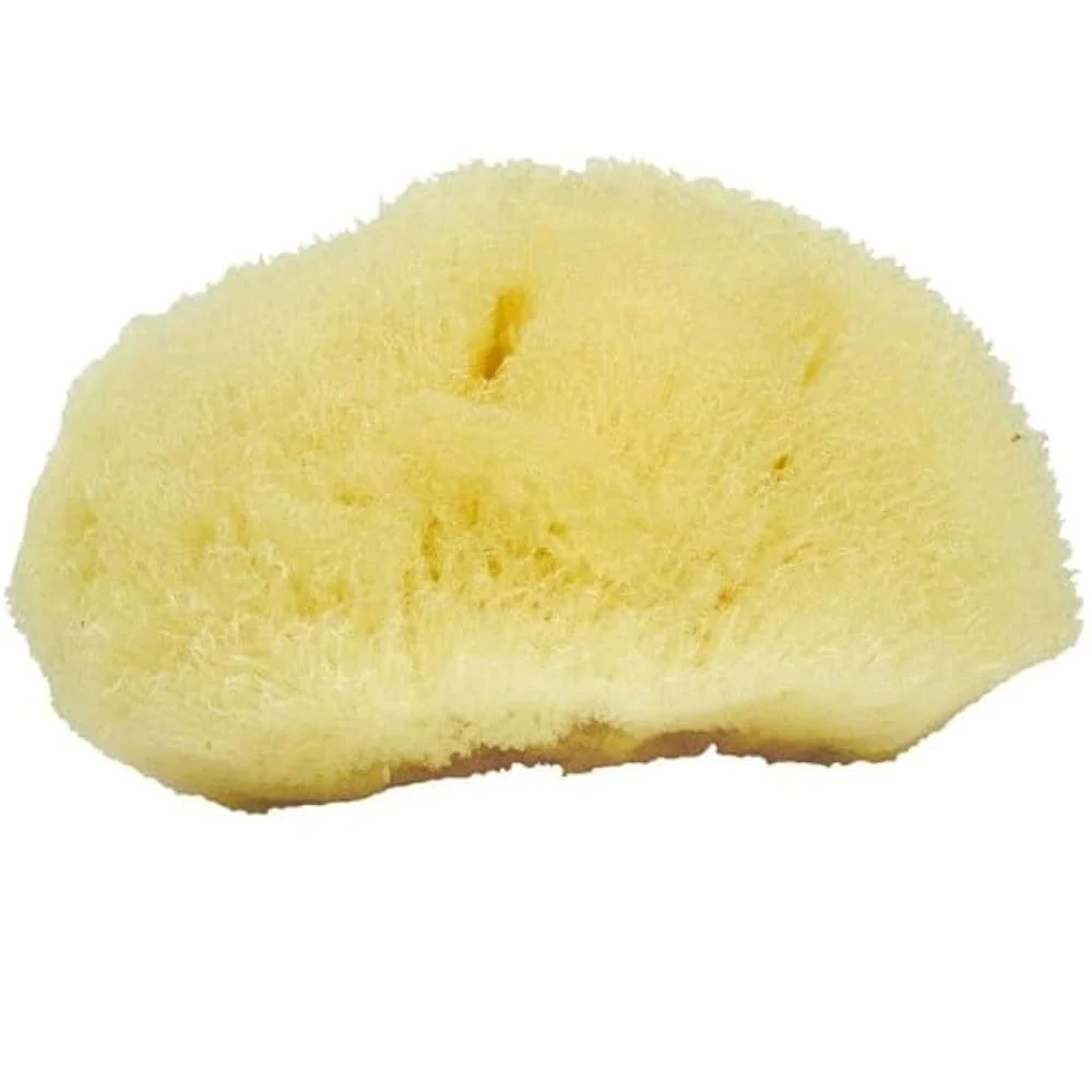 Neptune™ Sea Silk Sponges - Image 4
