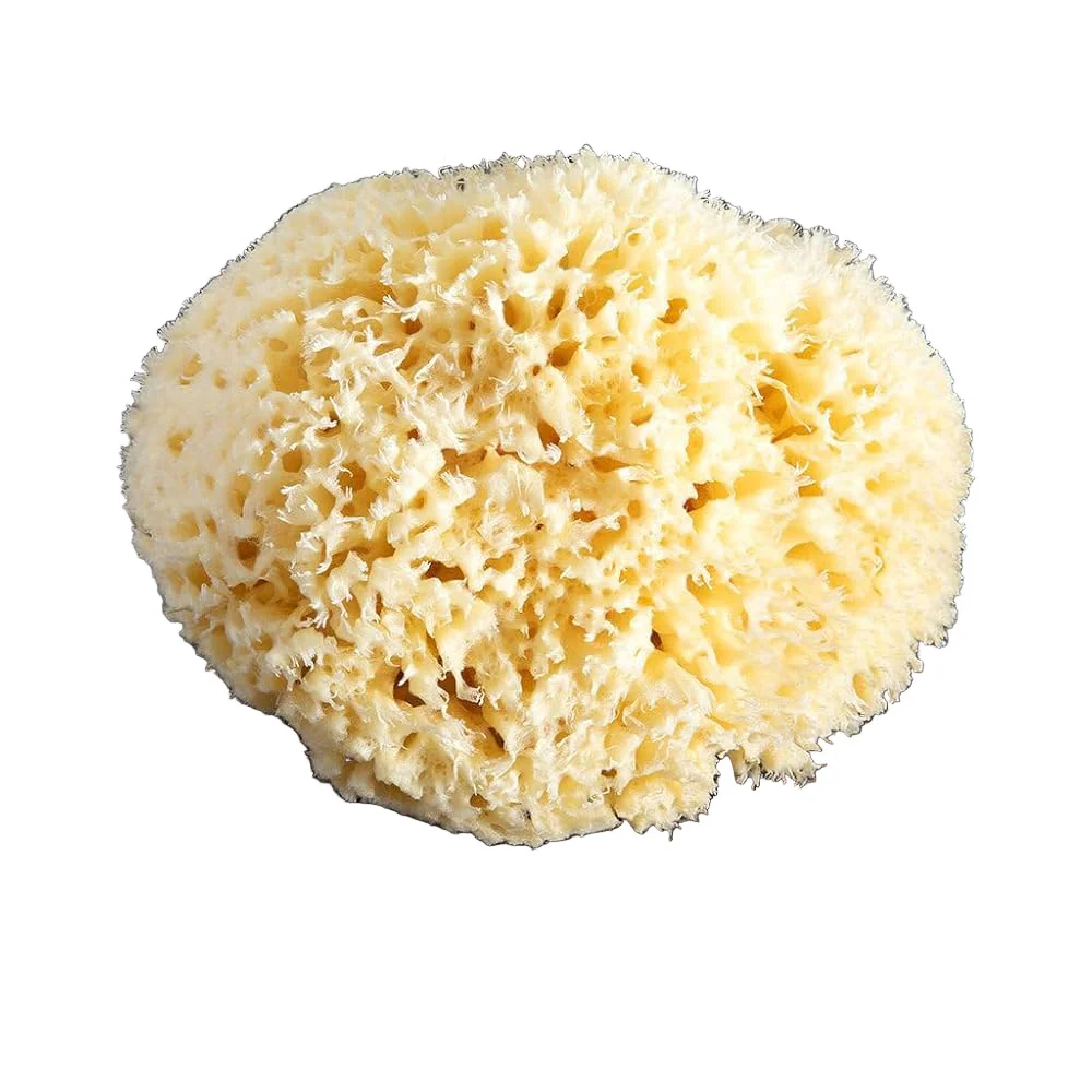 Neptune™ Wool Sea Sponges - Image 4