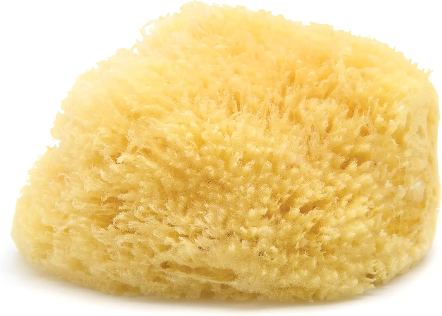 Neptune™ Wool Sea Sponges - Image 5