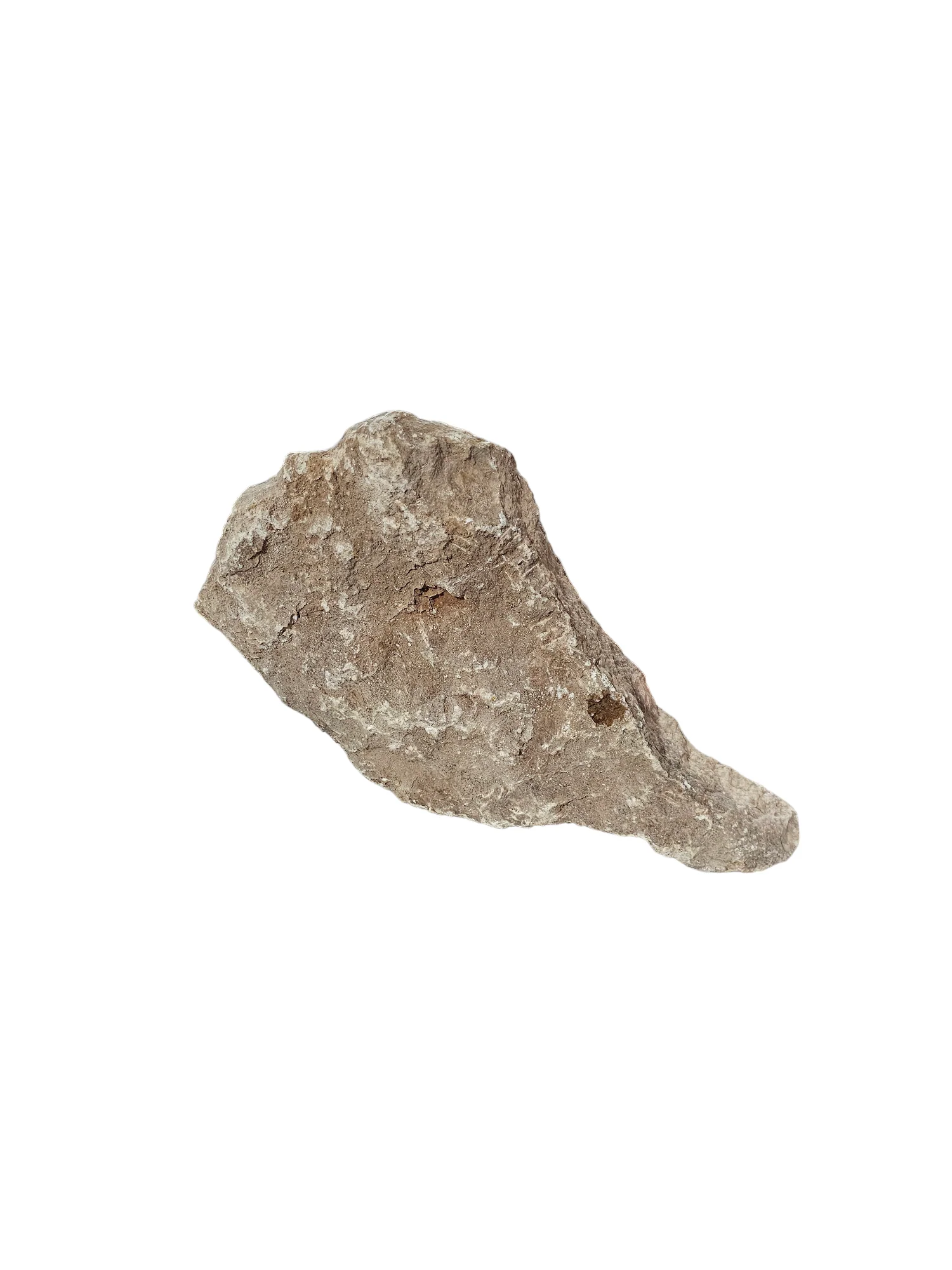 New Harvest Gold Alabaster 33lb NHG006 - Image 3