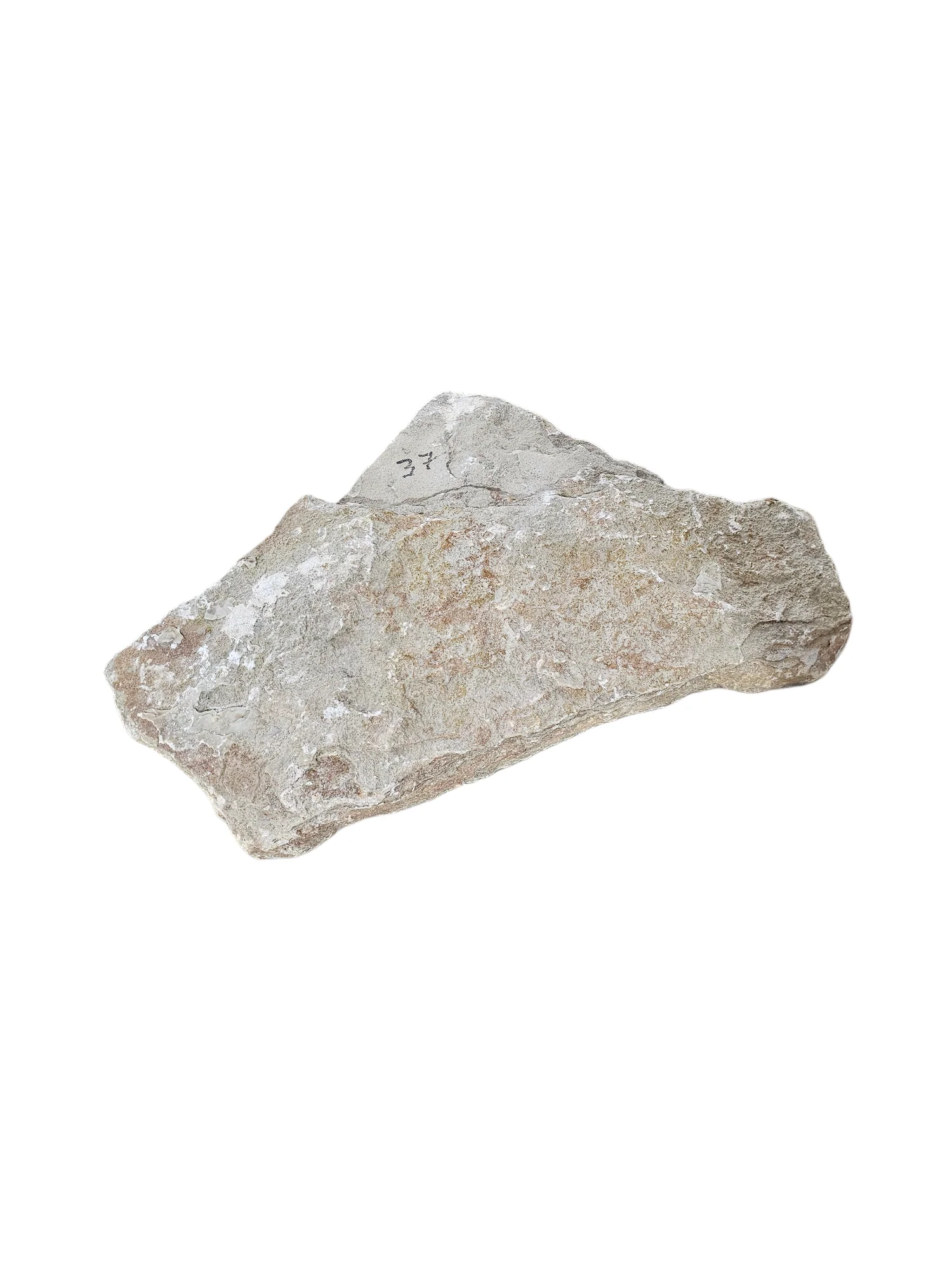 New Harvest Gold Alabaster 41lb NHG004 - Image 3
